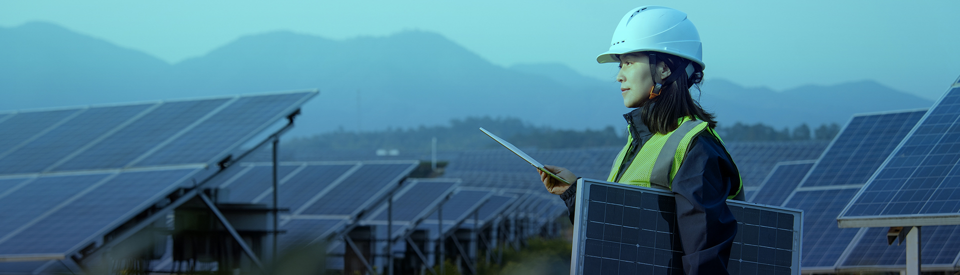 Progettista Fotovoltaico: compiti e competenze